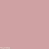 2" Bra Band Extender - Rose Pink - Simple Wishes
