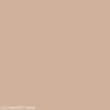 2" Bra Band Extender - Sunkissed Rose - Simple Wishes