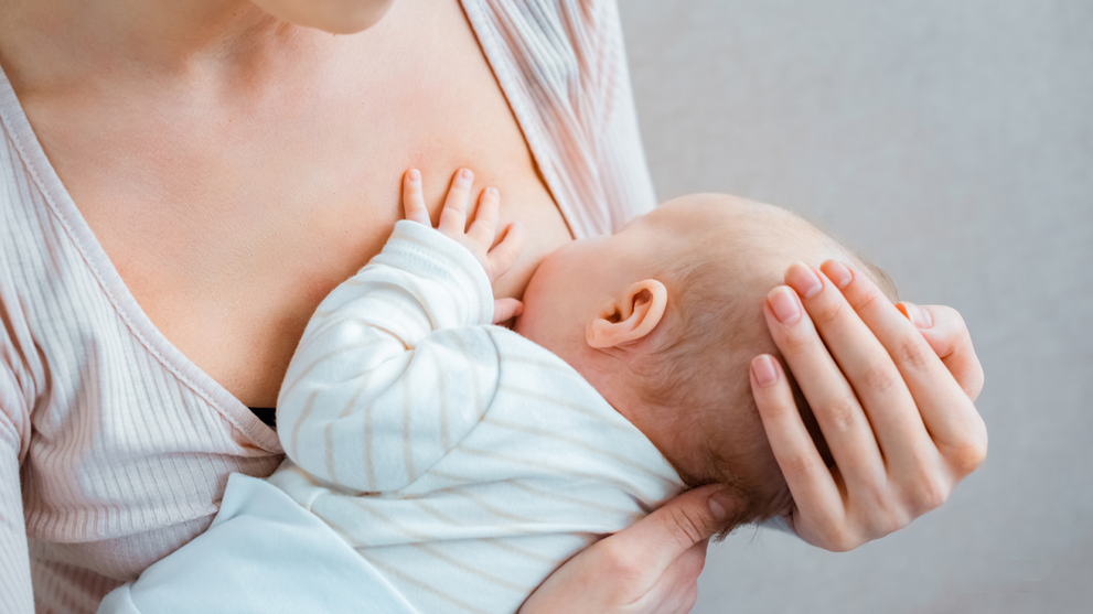 The Absorption Company + DRMTLGY + Health Vape + Plant Therapy + Proven Industries